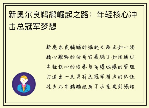 新奥尔良鹈鹕崛起之路：年轻核心冲击总冠军梦想